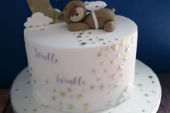 Twinkle Little Star Babyshower Cake
