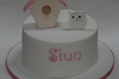 Suin - Birdhouse Christening Cake