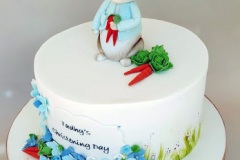 Tadhg - Peter Rabbit Christening Cake