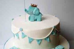 Odhran - Elephant Christening Cake