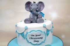 Jake - Elephant Christening Cake
