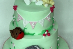 Niamh - Favrouite Toys Christening Cake