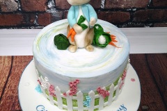 Cillian - Peter Rabbit Christening Cake