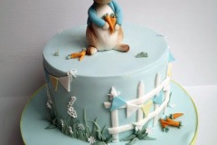 Darragh - Peter Rabbit Christening Cake