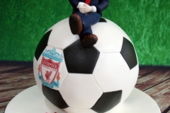 Sam - Liverpool Communion Cake