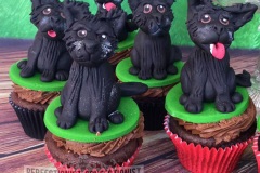 Jenny - Dog Cupcakes