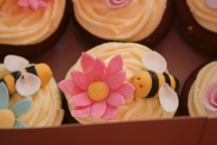 Insect Fairy Cupcakes