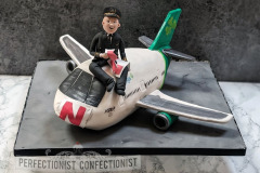 Stephen - A330 Pilot Celebration Cake
