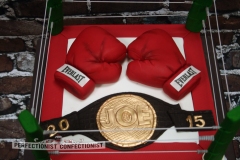 Joe - Boxing Retirement Cake
