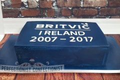 2007 - 2017 - Britvic Ireland Corporate Cake