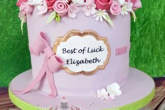 Elizabeth - Bon Voyage Cake
