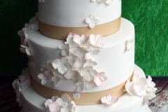 Eimear and John - Hydrangea Wedding Cake