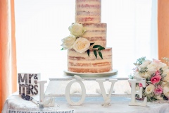 Shelbourne Hotel - Naked Wedding Cake