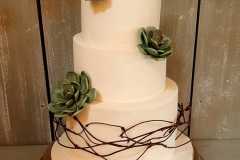 Shane and Melissa - Succulent Wedding Cake