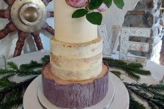 Brendan & Sinead - Angler's Rest, Naked Wedding Cake