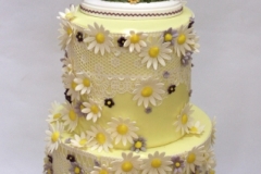 Sarah and Brian - Daisies and Lace Wedding Cake